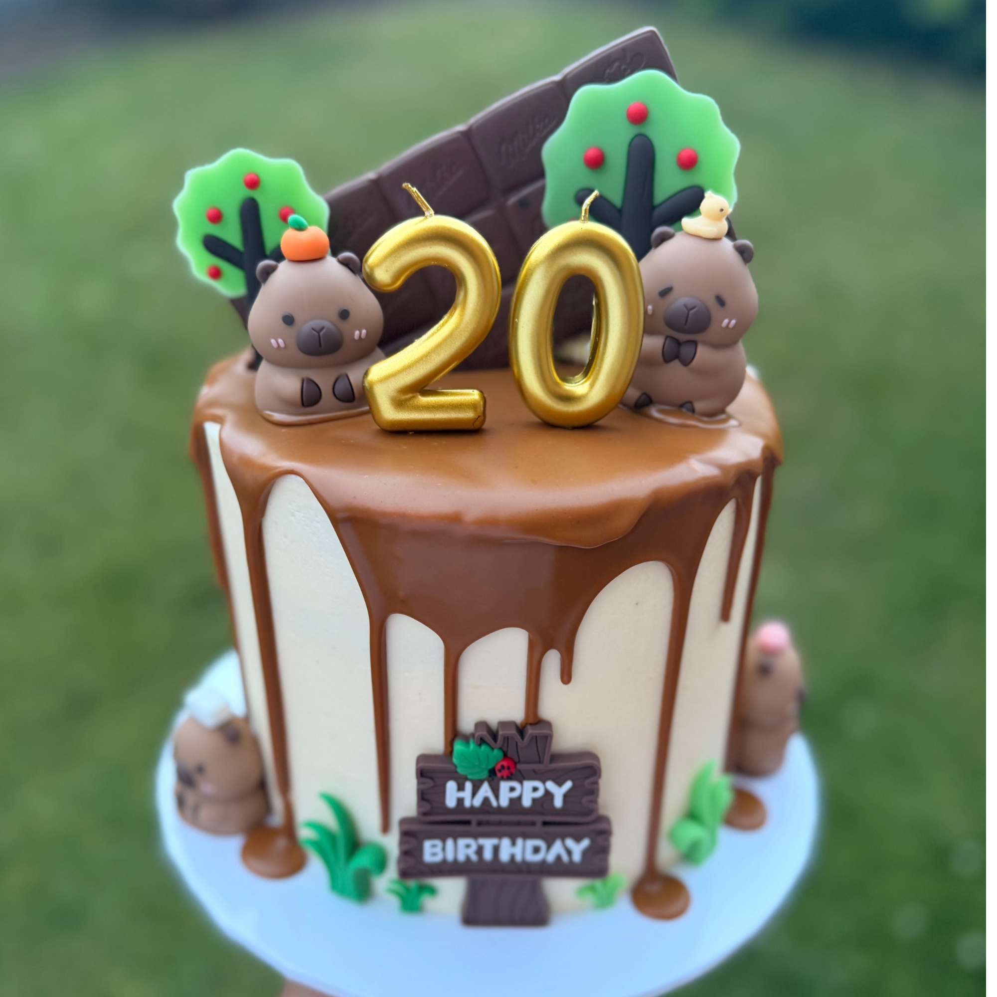 Character/Theme Cake
